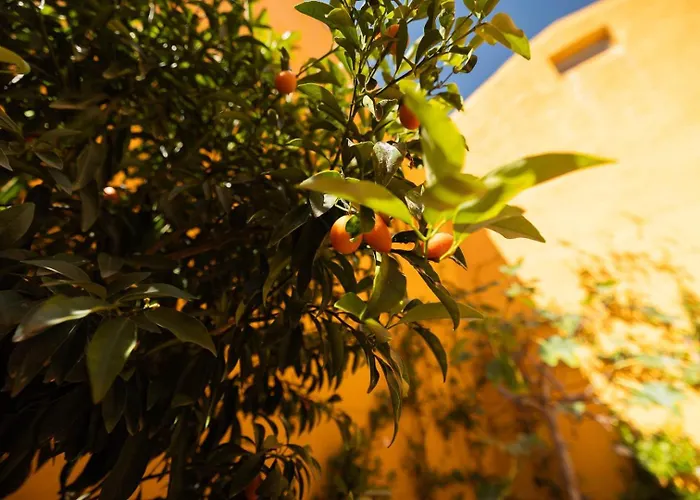 Elegant 3br Townhouse W/ En-suite Baths - Mouraria | By Airnest Nyaraló Lisboa