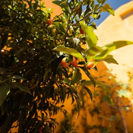 Elegant 3br Townhouse W/ En-suite Baths - Mouraria | By Airnest Holiday home Lisbon